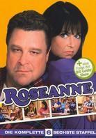 Roseanne - Staffel 6 (4 DVDs)