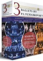 Various Artists - 3 Ballets by Tchaikovsky (Box, 3 DVDs)