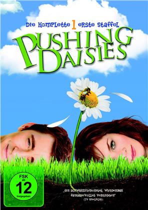 Pushing Daisies - Staffel 1 (3 DVDs)
