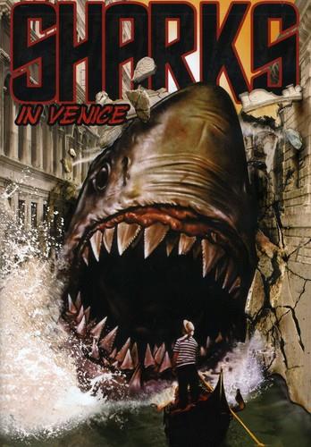 Sharks in Venice