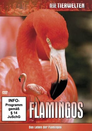 Neue Tierwelten - Flamingos