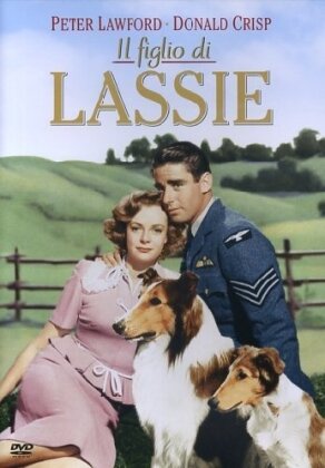 Il figlio di Lassie - Son of Lassie (1945)
