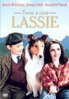 Torna a casa Lassie - Lassie come home (1943) (1943)