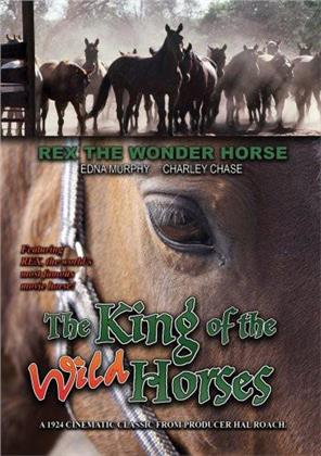 The King of the Wild Horses (Versione Rimasterizzata)