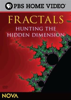 NOVA - Fractals - Hunting the Hidden Dimension