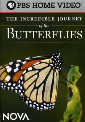 NOVA - The Incredible Journey of the Butterflies