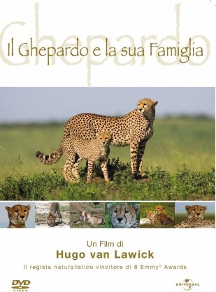 Il ghepardo e la sua famiglia