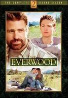 Everwood - Season 2 (6 DVDs)