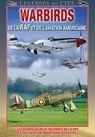Legendes du ciel - Warbirds de la RAF et de l'aviation americaine