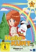 Hallo Kurt - Vol. 1 (4 DVDs)