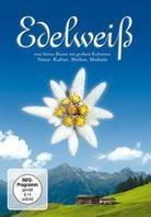 Edelweiss - Eine kleine Blume mit grossem Kultstatus