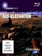 Sunrise Earth - Sonnenaufgang bei den See-Elefanten