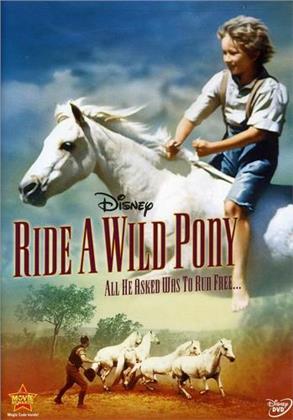 Ride a wild pony