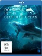 Dolphins in the Deep Ocean