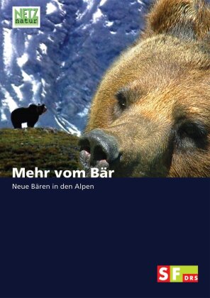Mehr vom Bär - Neue Bären in den Alpen (Netz Natur)