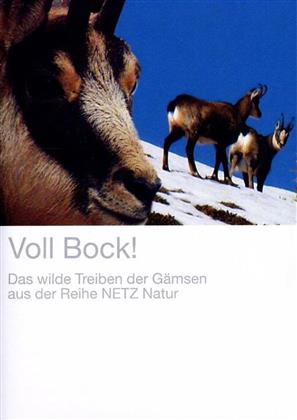 Voll Bock!