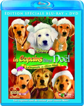 Les copains fêtent Noël (2009) (Blu-ray + DVD)