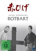 Rotbart (1965)