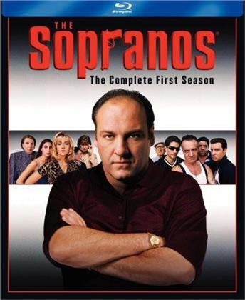 The Sopranos - Season 1 (5 Blu-rays)