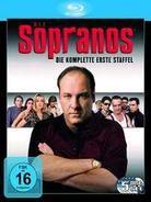 Die Sopranos - Staffel 1 (5 Blu-rays)