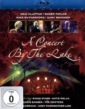 Various Artists - A concert by the lake