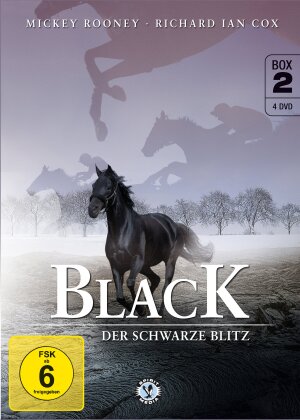 Black - Der schwarze Blitz - Box 2 (4 DVD)