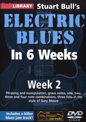 Electric Blues in 6 Weeks - Week 2