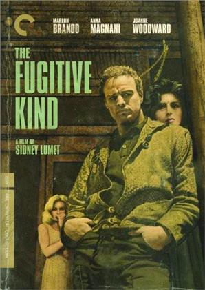 The Fugitive Kind (1959) (Criterion Collection, 2 DVD)