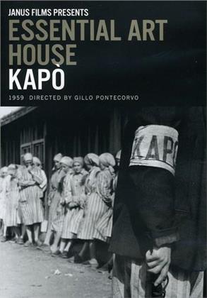 Essential Art House: Kapo (Criterion Collection)