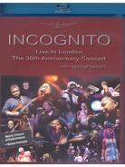 Incognito - Live in London / The 30th Anniversary Concert