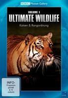 Ultimate Wildlife - Vol. 1 - Katzen & Rangordnung