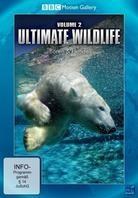 Ultimate Wildlife - Vol. 2 - Bären & Hunde