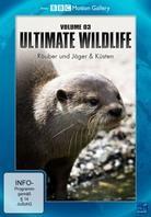 Ultimate Wildlife - Vol. 3 - Räuber und Jäger & Küsten