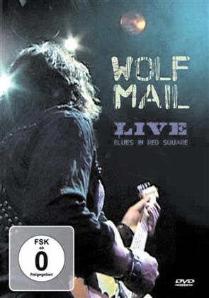 Mail Wolf - Live Blues in red Square