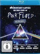 Pink Floyd - Momentary Lapses - The True Story of Pink Floyd (Inofficial)