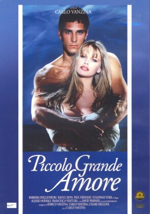 Piccolo grande amore (1993)
