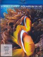 Korallenriff Aquarium in HD - Die Unterwasserwelt der Fidschis