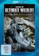 Ultimate Wildlife - Vol. 6 - Spielen und Lernen & Erfindungsreichtum