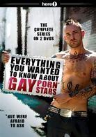 Everything you wanted to know about Gay Porn Stars - The complete Series (2 DVD)