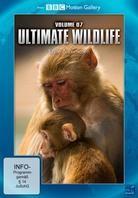 Ultimate Wildlife - Vol. 7 - Kälte & Primaten