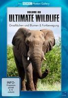 Ultimate Wildlife - Vol. 8 - Grasflächen und Blumen & Fortbewegung