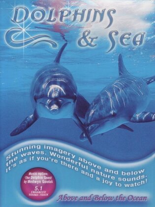 Dolphins & sea