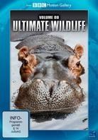 Ultimate Wildlife - Vol. 9 - Wälder & Afrika