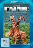 Ultimate Wildlife - Vol. 10 - Anpassungsfähigkeit & In Bewegung