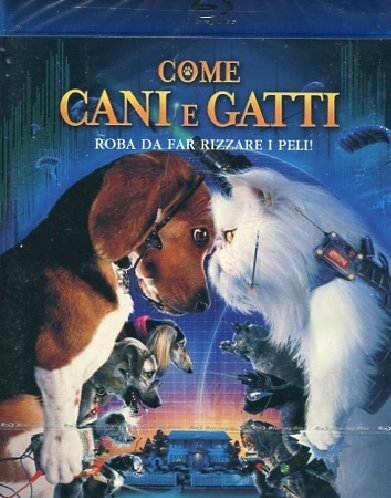 Come cani & gatti