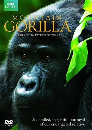 Mountain Gorilla (BBC Earth)