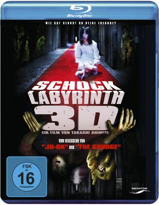 Schock Labyrinth - The Shock Labyrinth (2009) (2009)