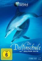 Die Delfinschule - Discovery World (2 DVDs)