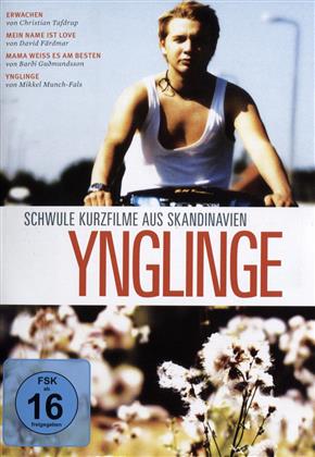 Ynglinge - Schwule Kurzfilme aus Skandinavien