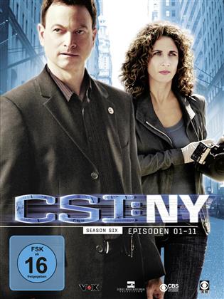 CSI - New York - Staffel 6.1 (Limitierte Auflage 3 DVDs)